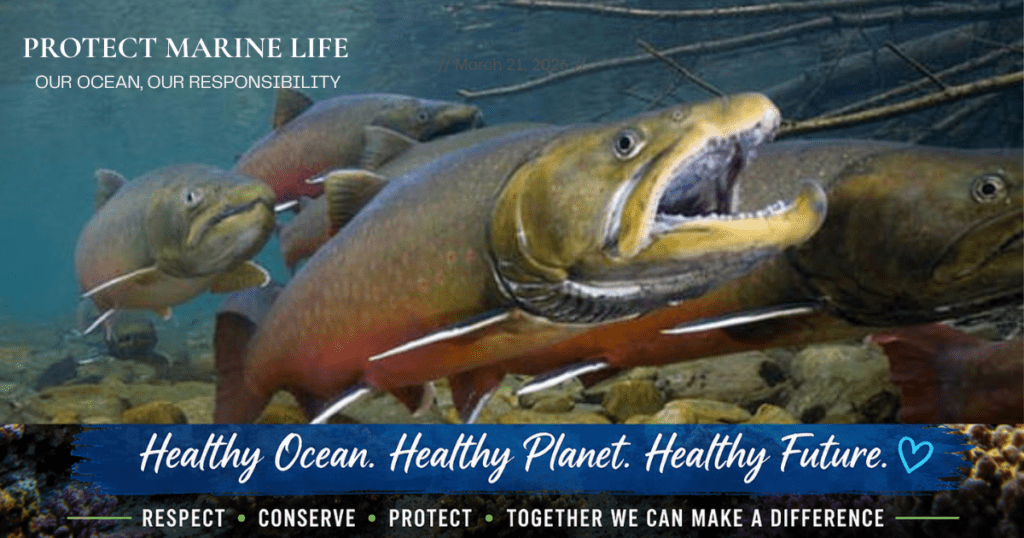 climate change and biodiversity loss